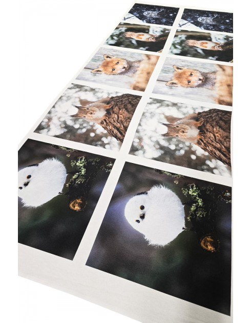 Ossi Saarisen Pyrstötiainen