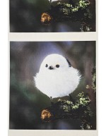 Ossi Saarisen Pyrstötiainen