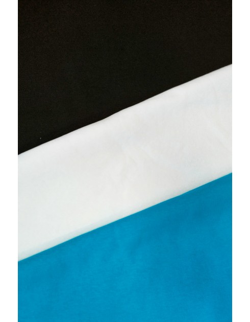 Hartsa harjattucollege, turkoosi