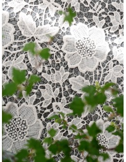 Cotton lace, natural